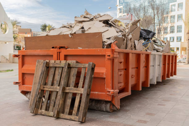 Yard Cleanup Services in Palestine, TX